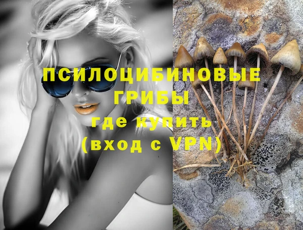 эйфоретик Володарск