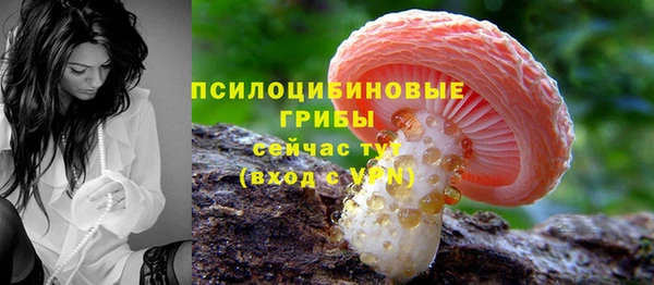 эйфоретик Володарск