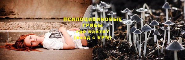 spice Верея