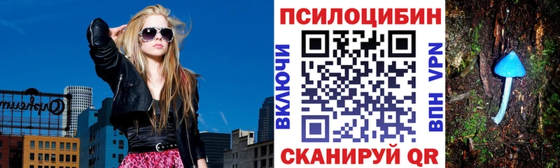 блэк спрут ONION  сколько стоит  Каневская  Галлюциногенные грибы MAGIC MUSHROOMS 